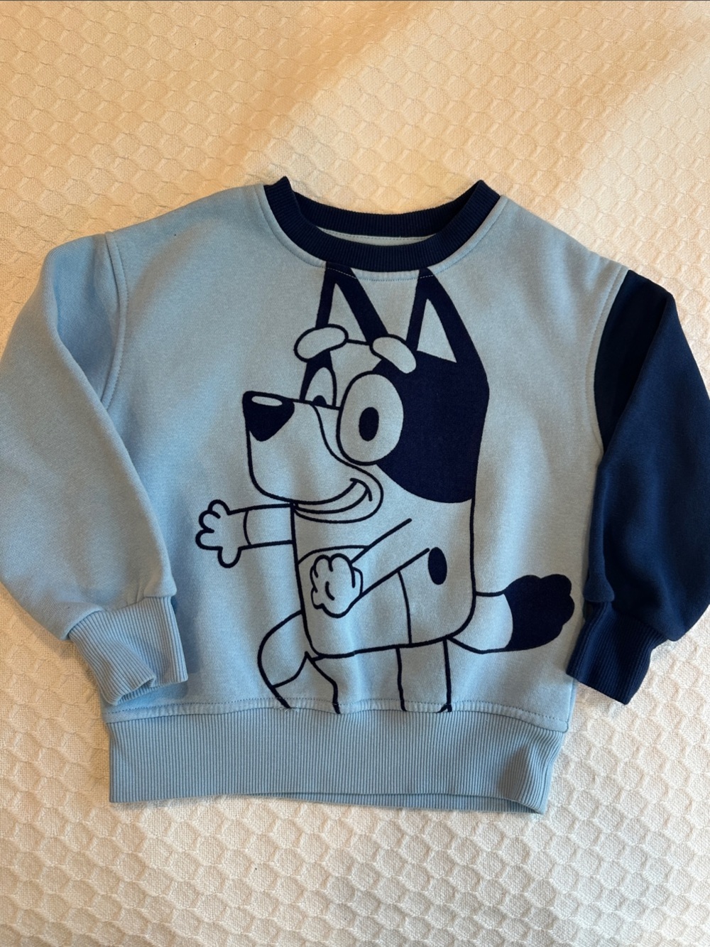 Light Blue Cartoon Crewneck Sweatshirt with Navy Accent - Kids